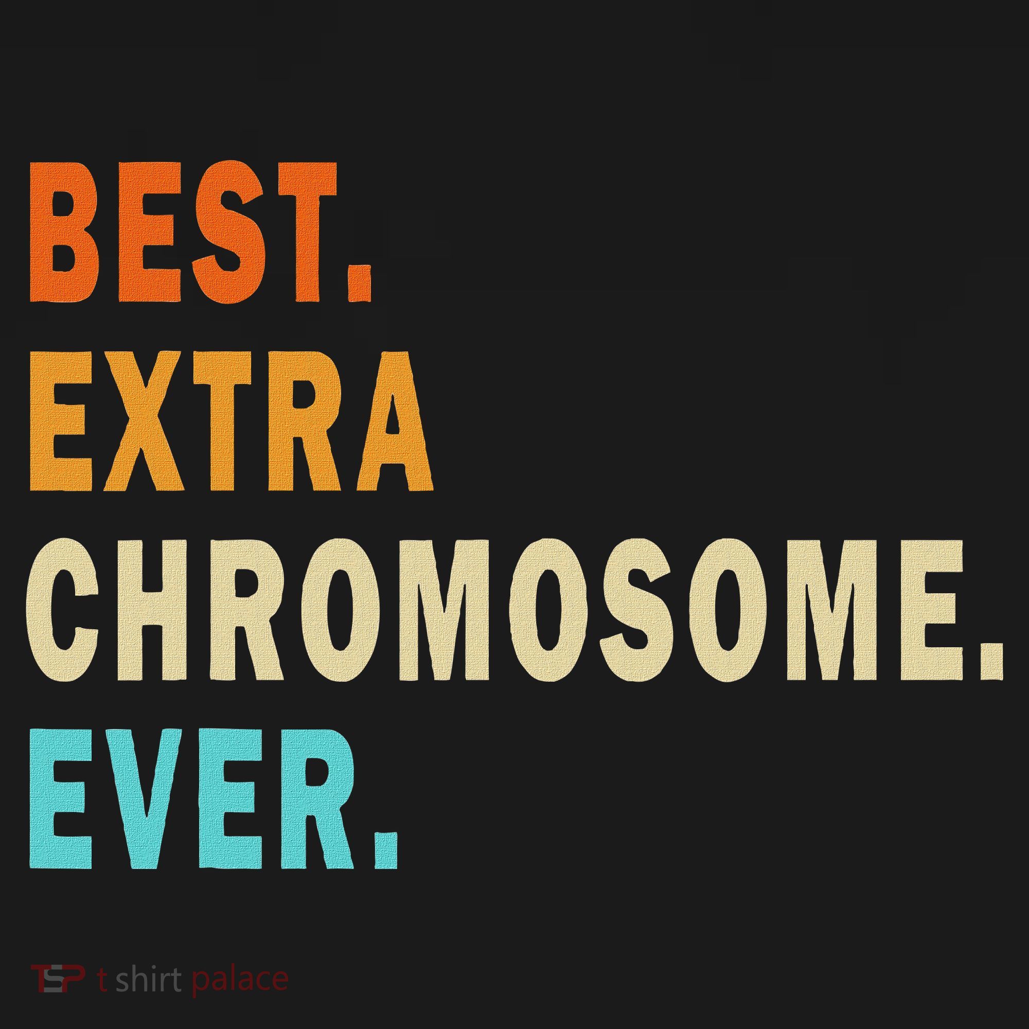 Best Extra Chromosome Ever Down Syndrome Awareness Vintage T-Shirt