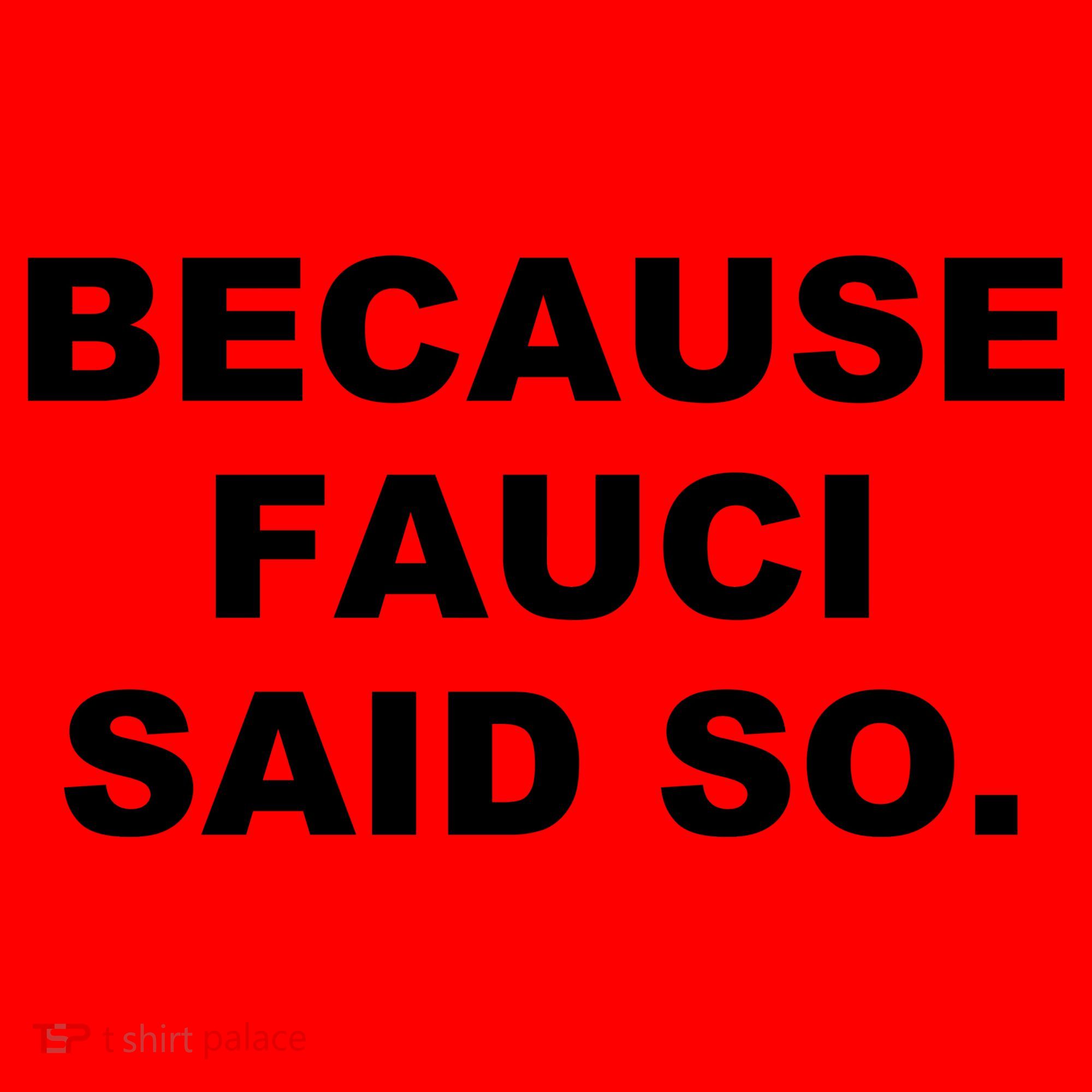 Because Fauci Said So Santa Hat