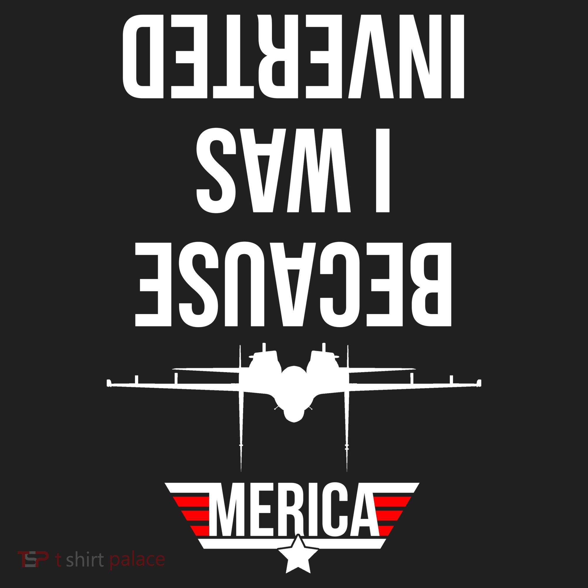 Because I Was Inverted Jet Fighter Tumbler