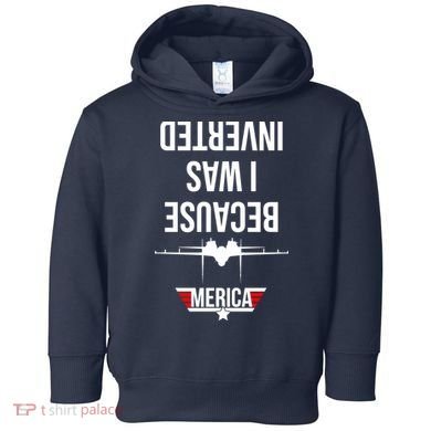 Because I Was Inverted Jet Fighter Toddler Hoodie
