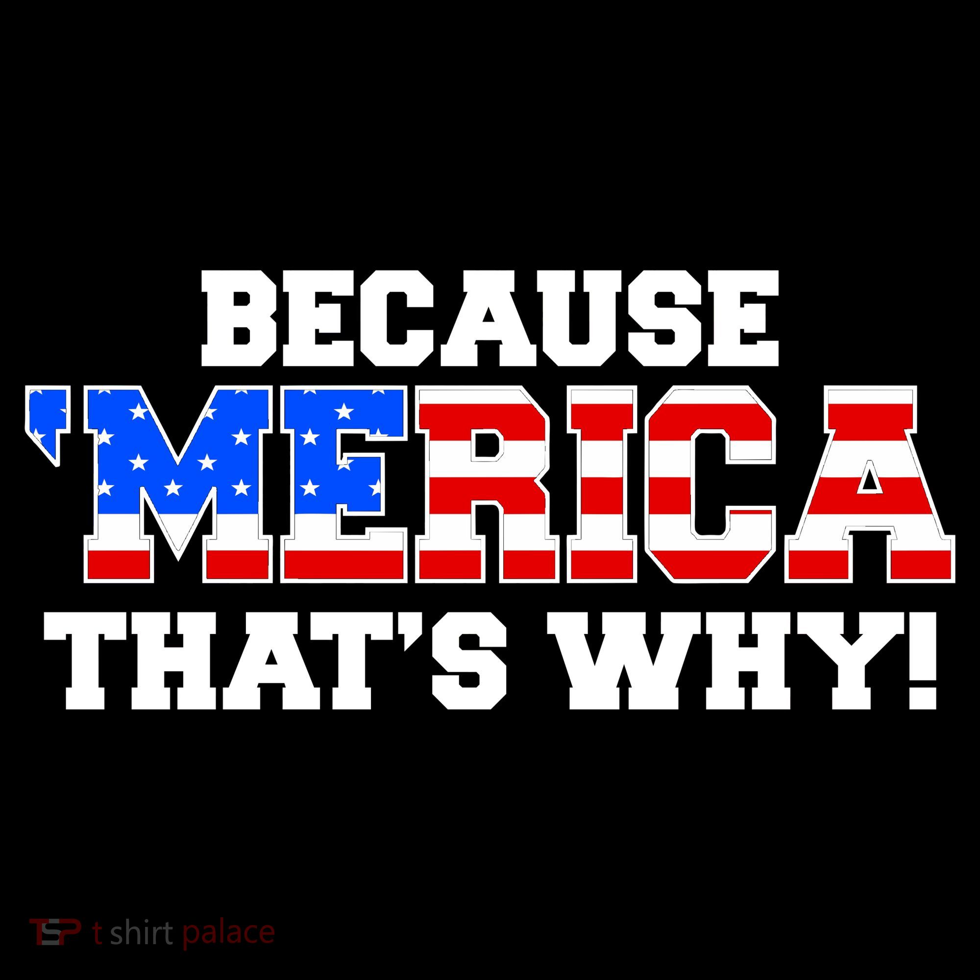 Because Merica Thats Why Kids T-Shirt