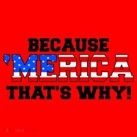 Because Merica Thats Why Santa Hat thumb 1