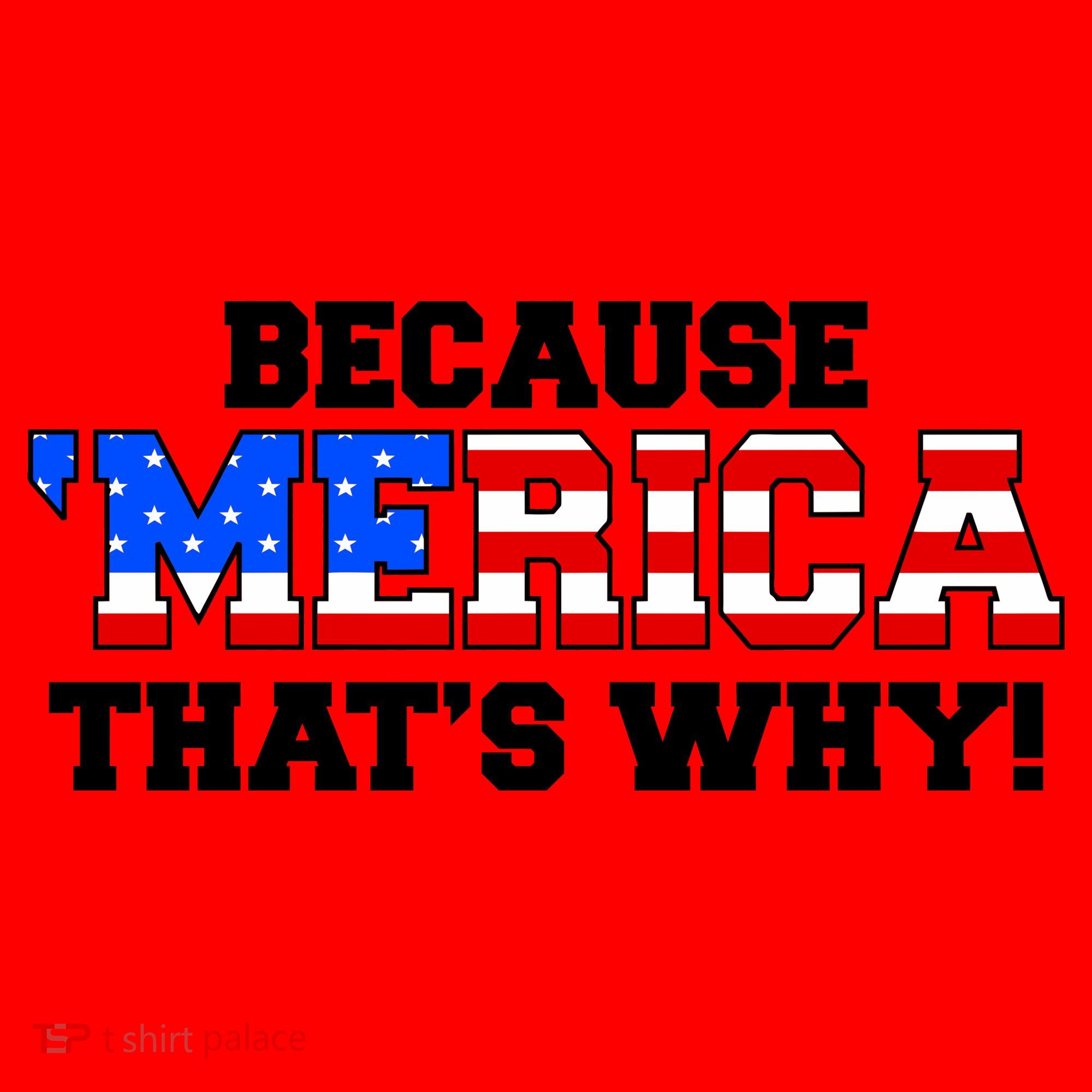 Because Merica Thats Why Santa Hat