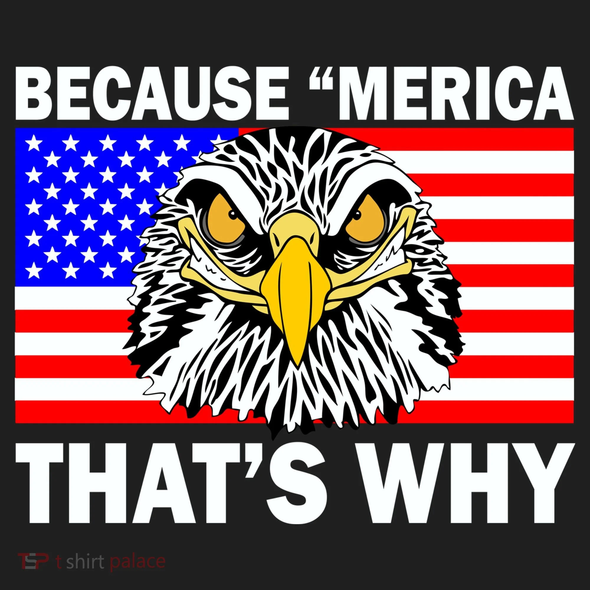 Because 'Merica That's Why! Eagle Women's Sweatshirt