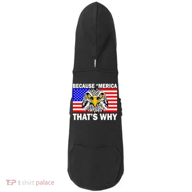 Because 'Merica That's Why! Eagle Doddie Hoodie