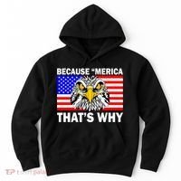 Because 'Merica That's Why! Eagle Hoodie thumb 0