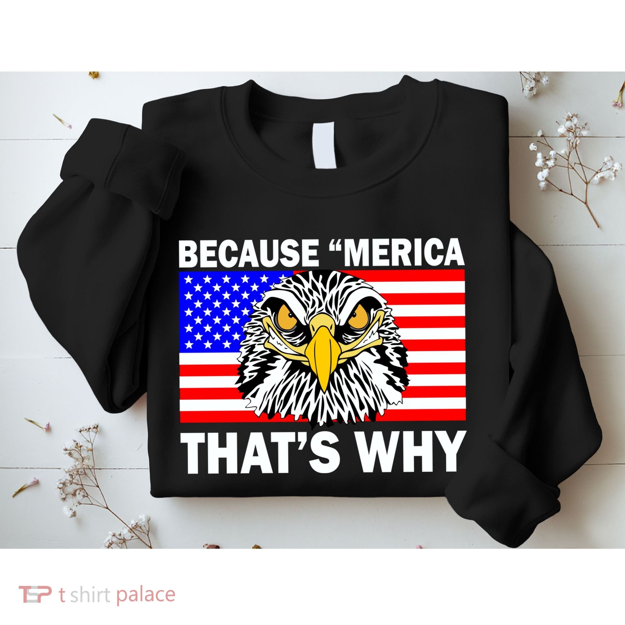 Because 'Merica That's Why! Eagle Sweatshirt