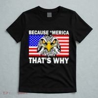 Because 'Merica That's Why! Eagle T-Shirt thumb 5