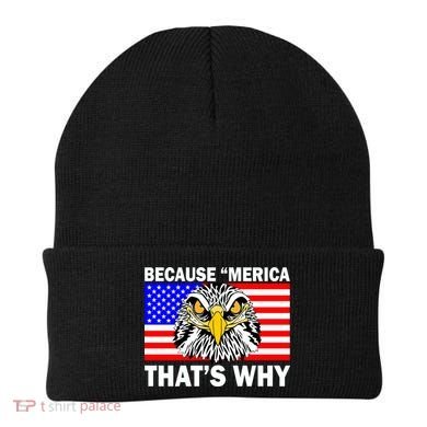 Because 'Merica That's Why! Eagle Beanie