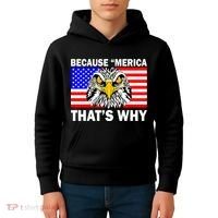 Because 'Merica That's Why! Eagle Kids Hoodie thumb 4
