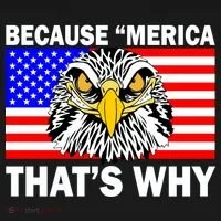Because 'Merica That's Why! Eagle Kids Hoodie thumb 5