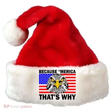 Because 'Merica That's Why! Eagle Santa Hat