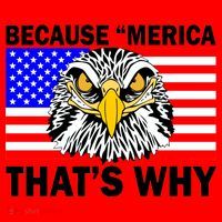 Because 'Merica That's Why! Eagle Santa Hat thumb 1