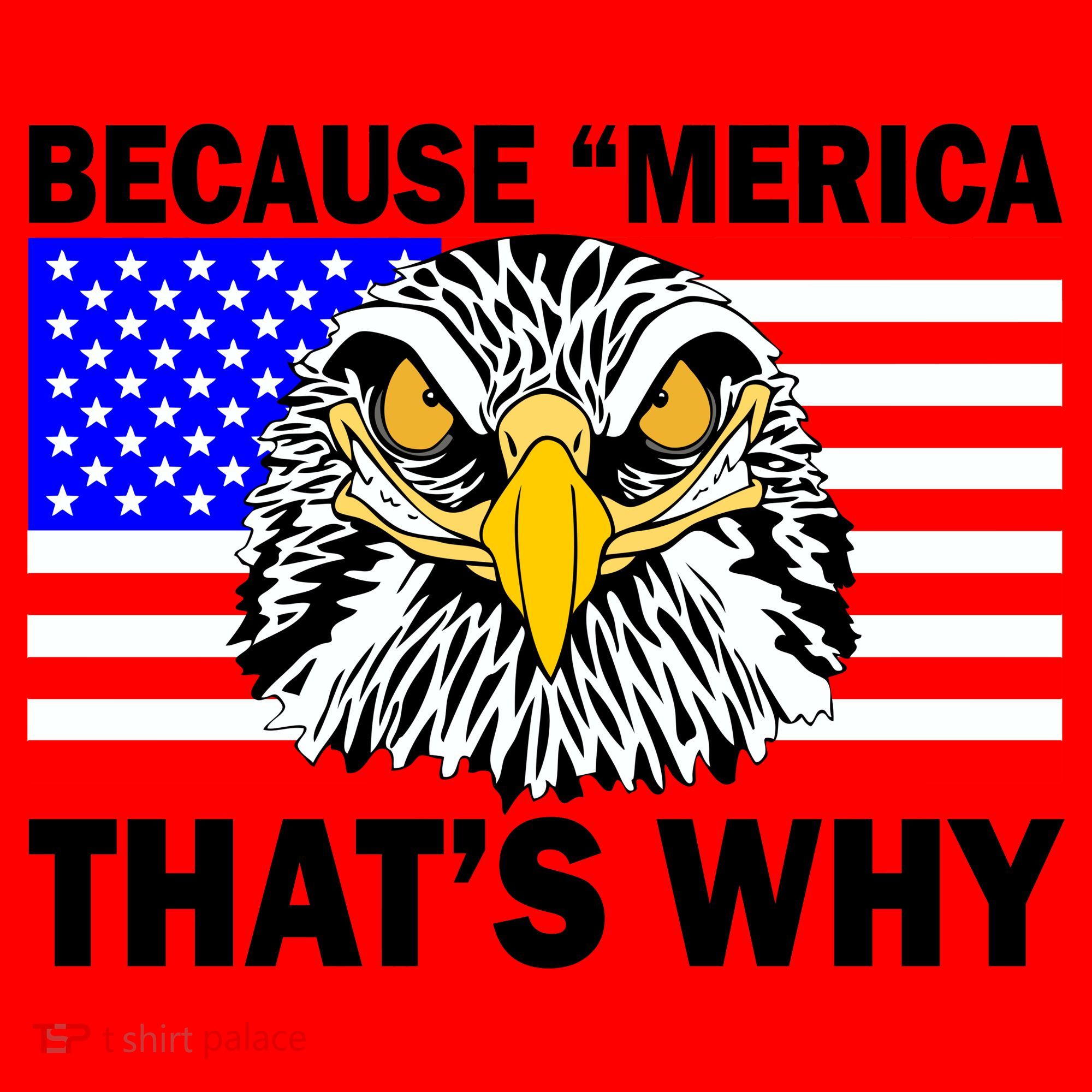 Because 'Merica That's Why! Eagle Santa Hat