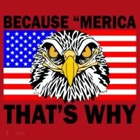 Because 'Merica That's Why! Eagle Christmas Stocking thumb 1
