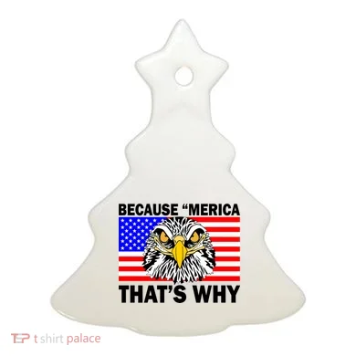 Because 'Merica That's Why! Eagle Ceramic Ornament