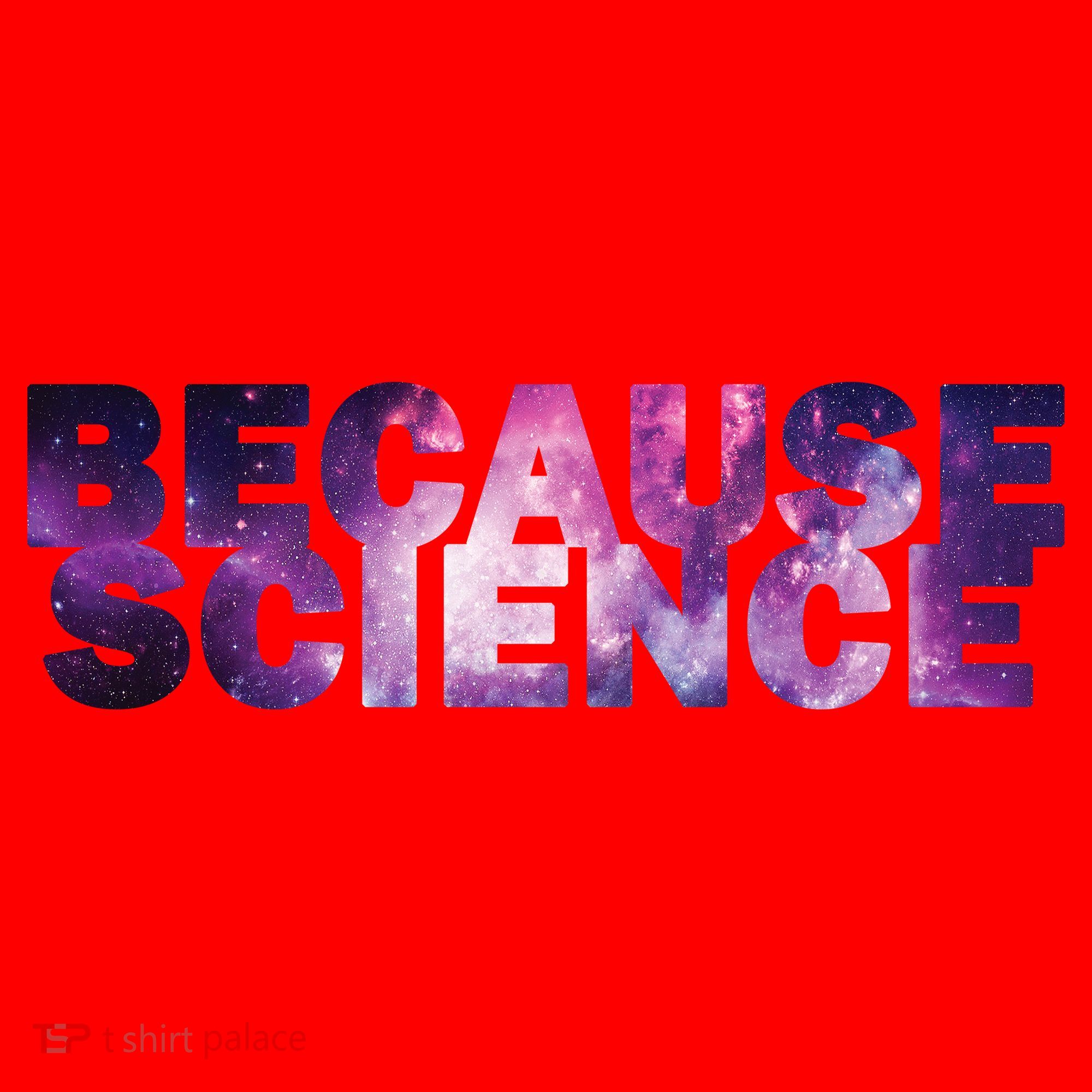 Because Science Santa Hat