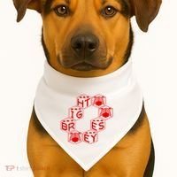 Bright Eyes Dice Logo USA-Made Doggie Bandana thumb 1