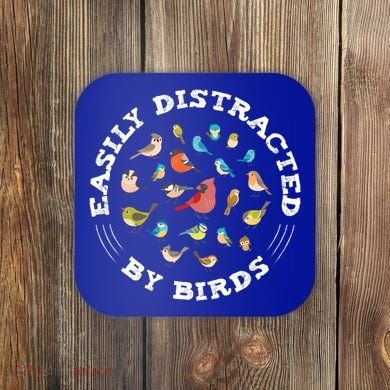 Birdwatching Easily Distracted By Birds Lover Ornithologist Cool Gift Coaster
