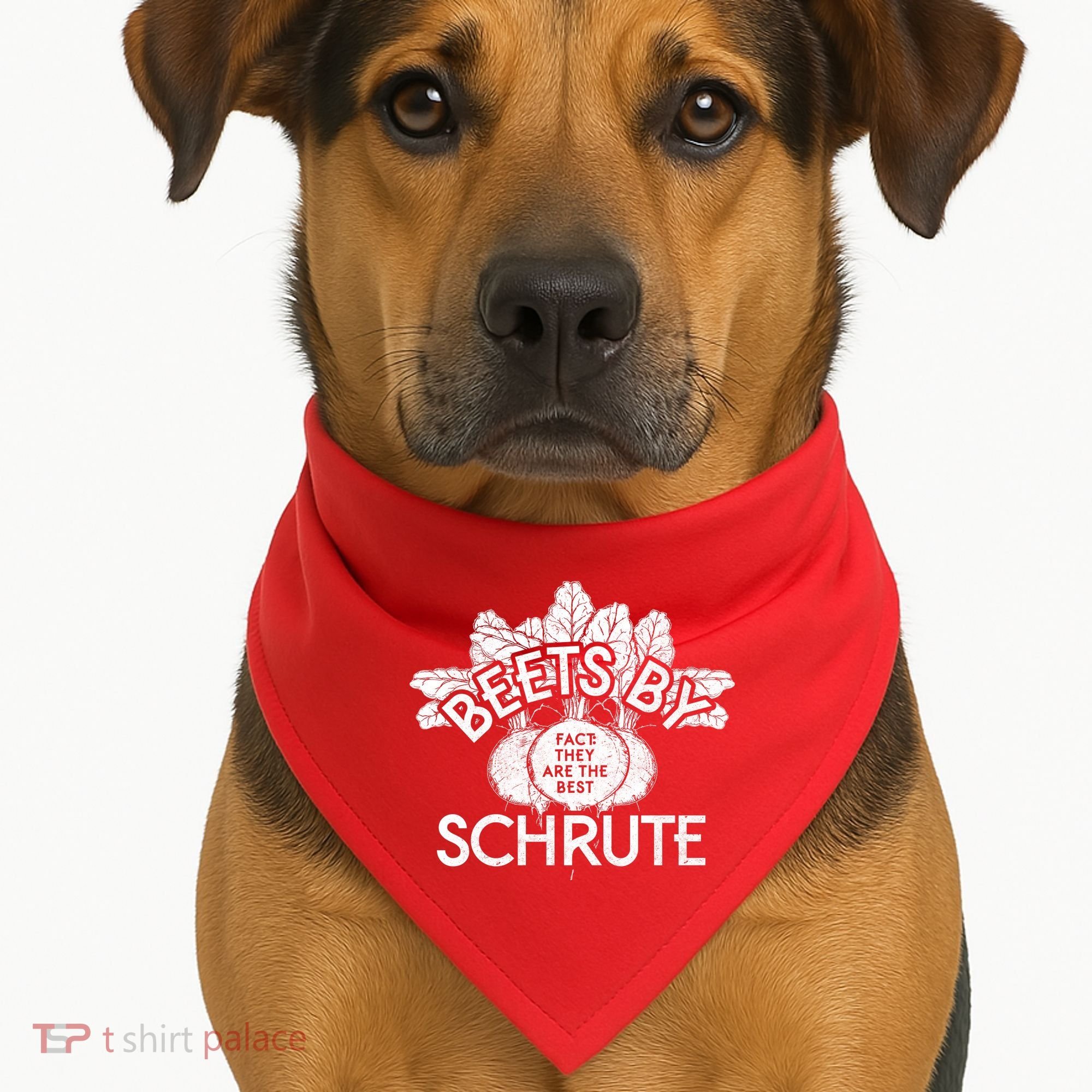 Beets By Schrute USA-Made Doggie Bandana