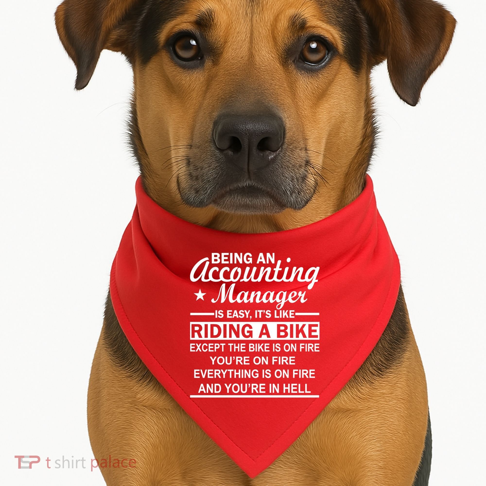 Being An Accounting Manager Riding A Bike In Hell USA-Made Doggie Bandana