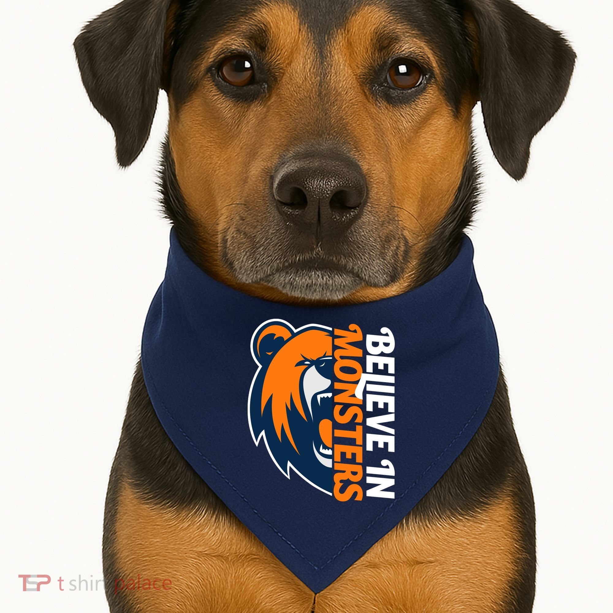 Believe In Monsters Chicago Football USA-Made Doggie Bandana