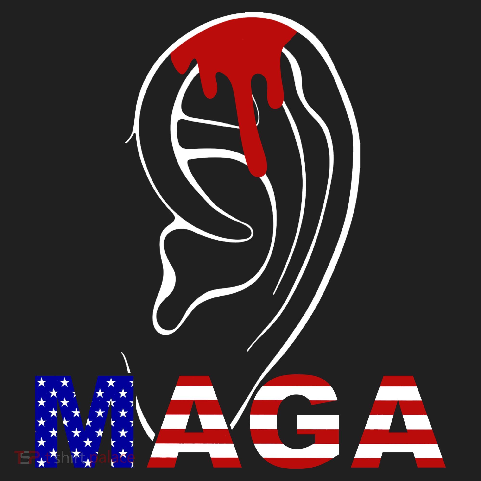 Bleeding Ears Maga Usa Pro Trump Beanie