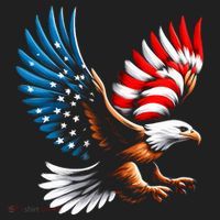 Bald Eagle & Patriotic American Flag 4th Of July Women's Sweatshirt thumb 2