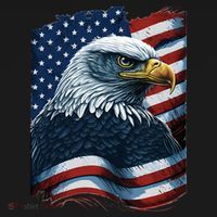 Bald Eagle Proud Patriotic American US Flag 4th Of July T-Shirt thumb 7