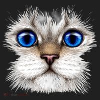 Blue Eyed Realistic Cat Face Women's Sweatshirt thumb 2