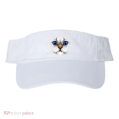Visor