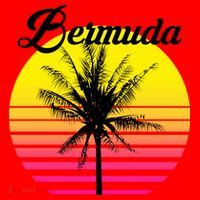 Bermuda Sunset Santa Hat thumb 1