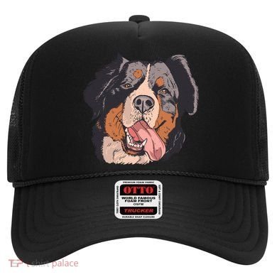Bernese Mountain Dog Hat