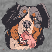 Bernese Mountain Dog Hoodie thumb 7