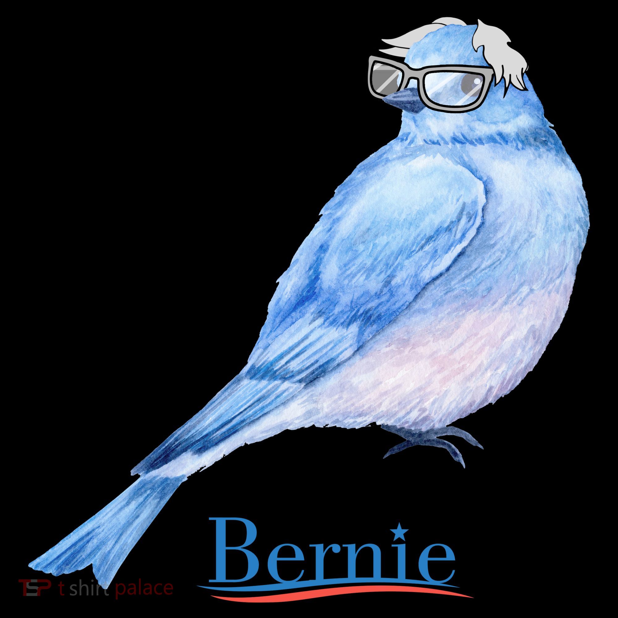 Bernie Bird Toddler Hoodie
