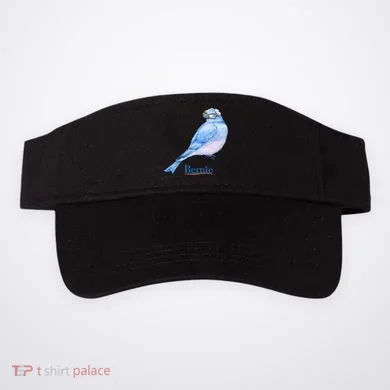 Visor