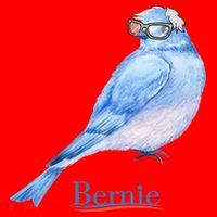 Bernie Bird Santa Hat thumb 1
