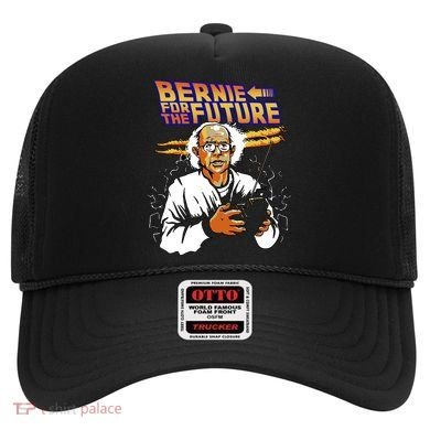 Bernie For The Future Hat