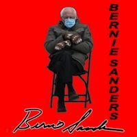 Bernie Sanders Mitten Meme Signature Santa Hat thumb 1