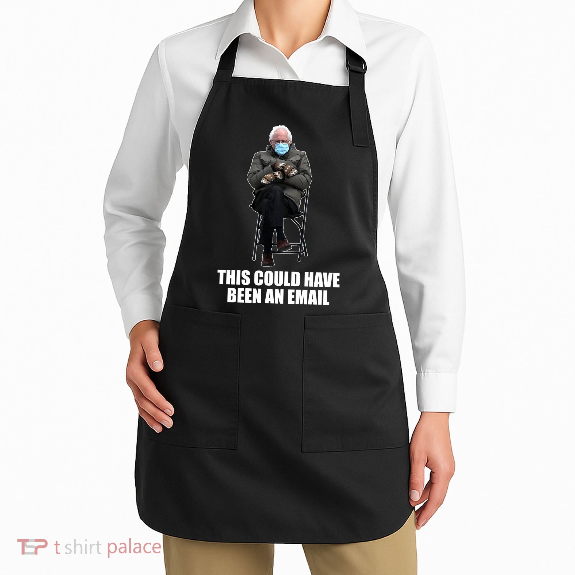 Bernie Sanders Mitten Meme This Could Have Been An Email Apron