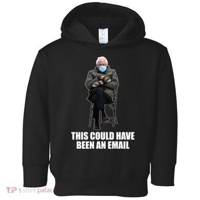 Bernie Sanders Mitten Meme This Could Have Been An Email Toddler Hoodie