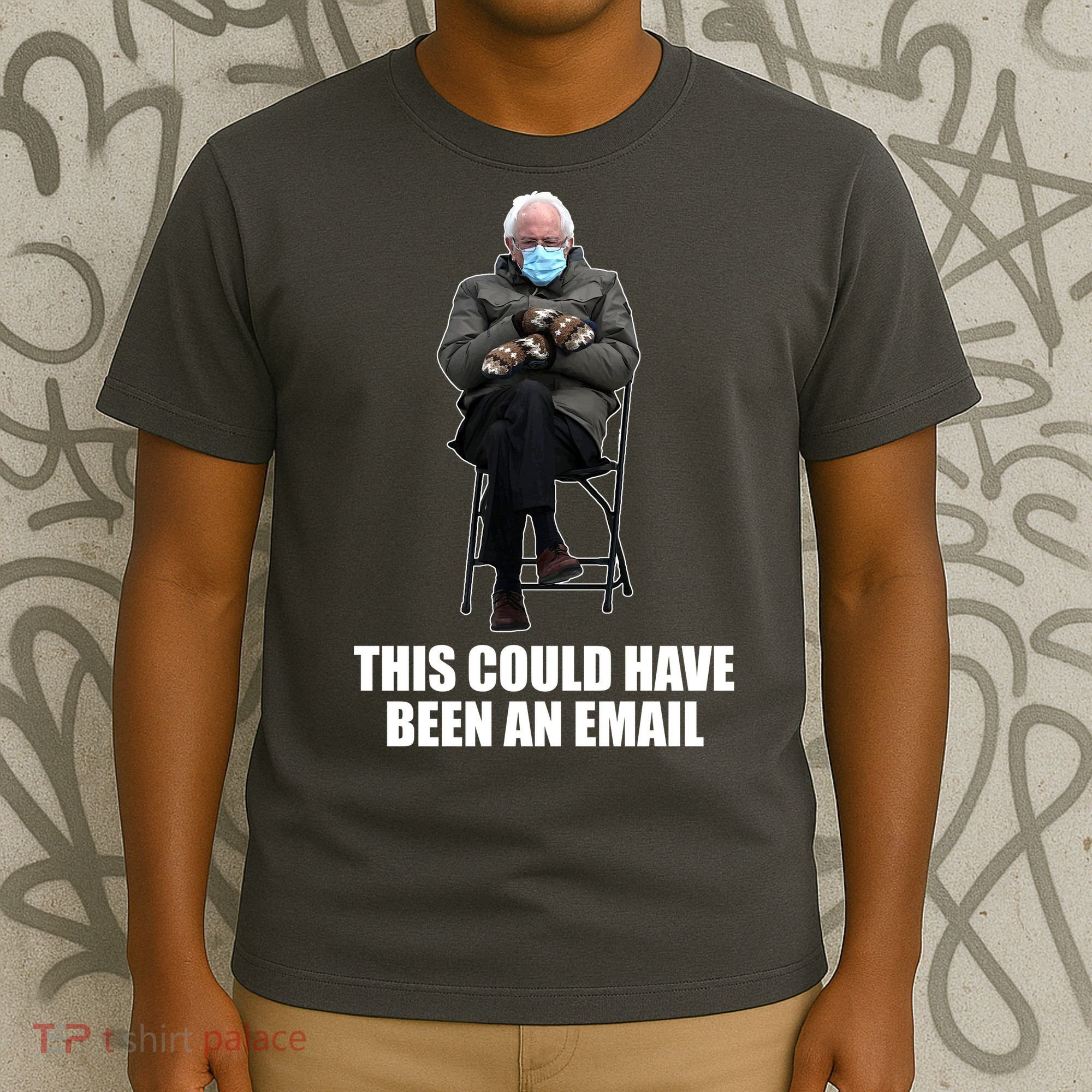 Bernie Sanders Mitten Meme This Could Have Been An Email T-Shirt