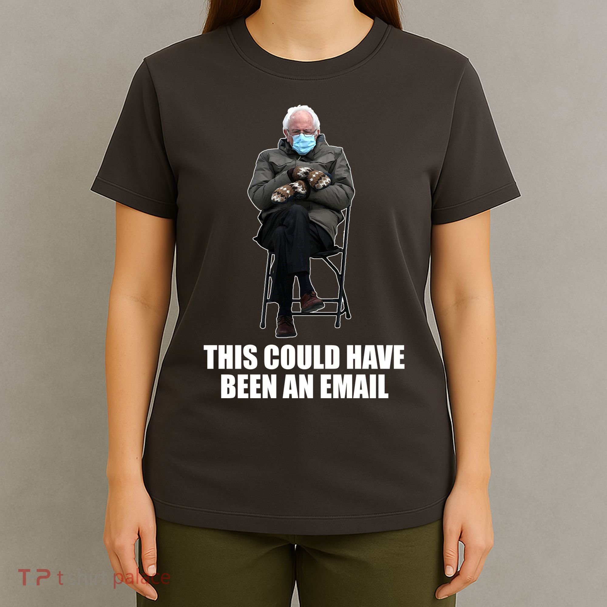 Bernie Sanders Mitten Meme This Could Have Been An Email T-Shirt