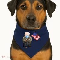 Bernie Sanders Mitten Meme USA Flag USA-Made Doggie Bandana thumb 1