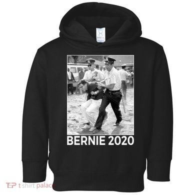 Bernie Sanders Protest Arrest Toddler Hoodie