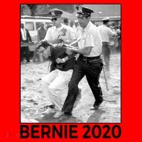 Bernie Sanders Protest Arrest Santa Hat thumb 1