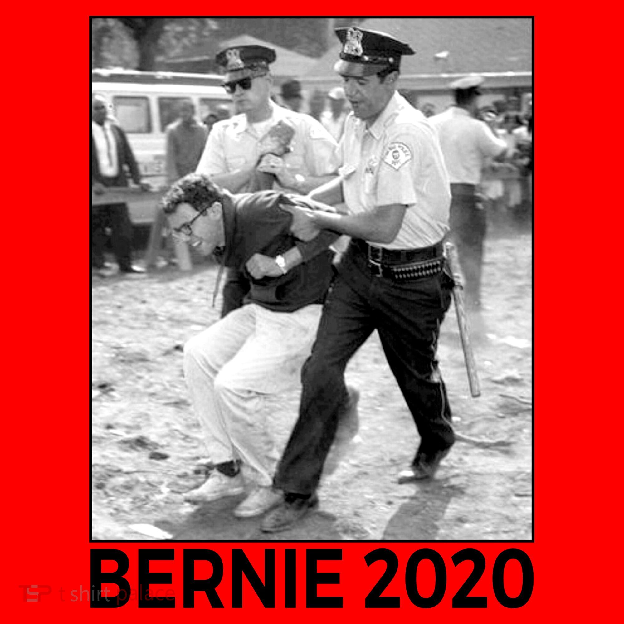 Bernie Sanders Protest Arrest Santa Hat