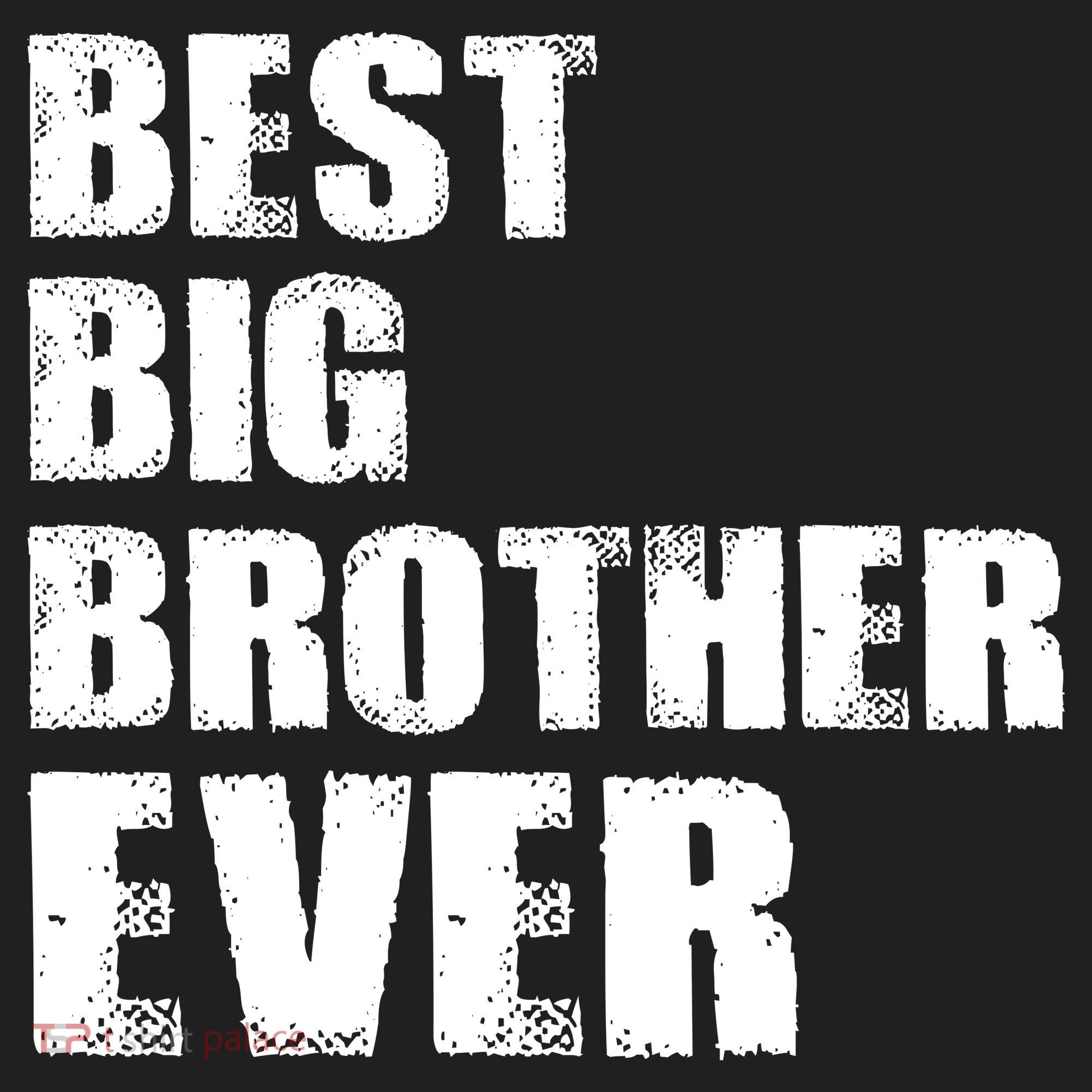 Best Big Brother Ever Beanie