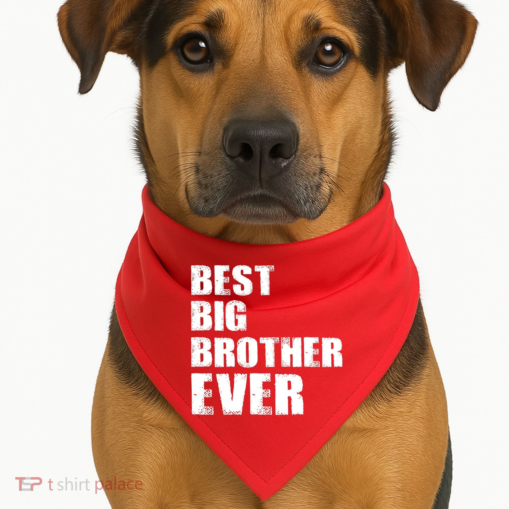 Best Big Brother Ever USA-Made Doggie Bandana