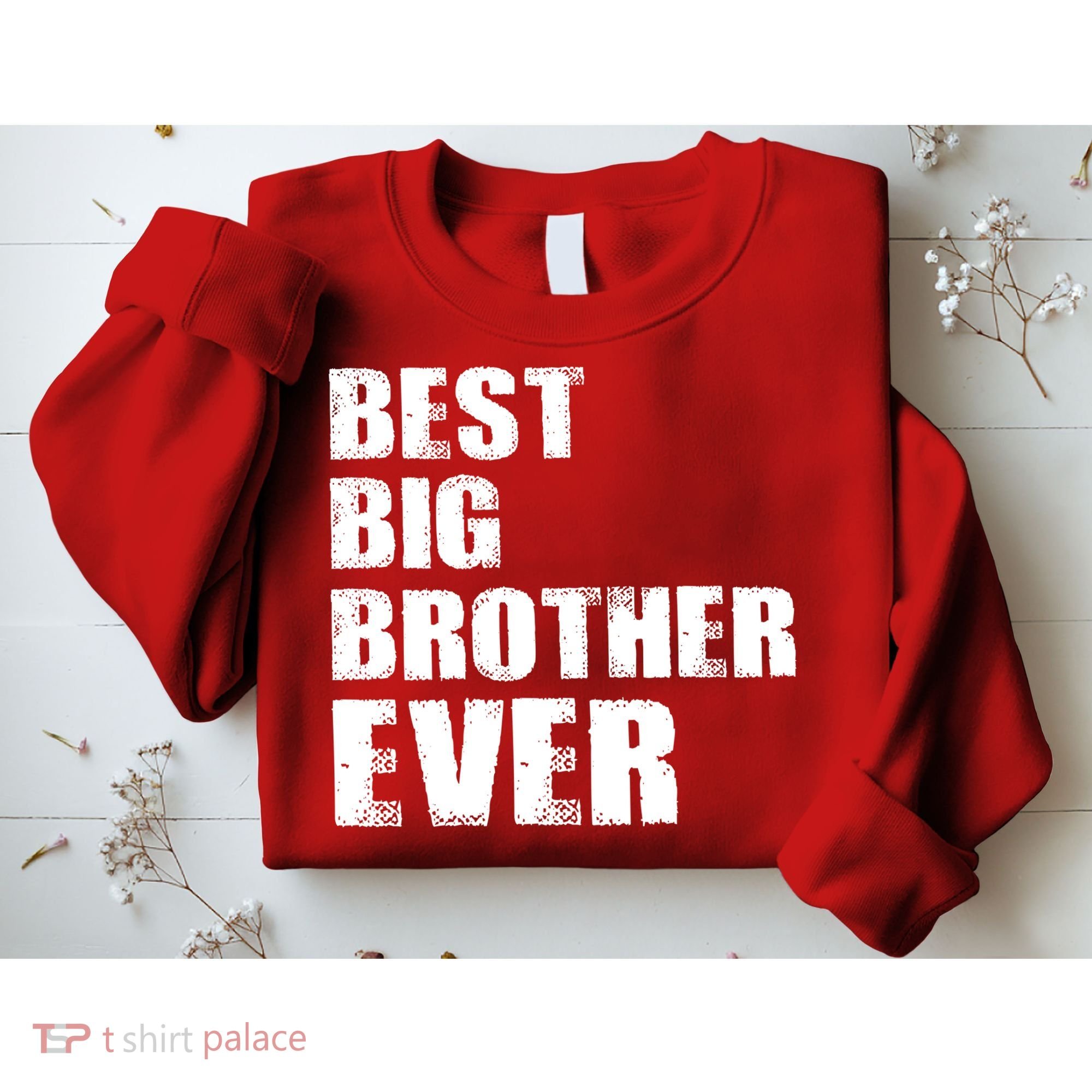 Best Big Brother Ever Sweatshirt